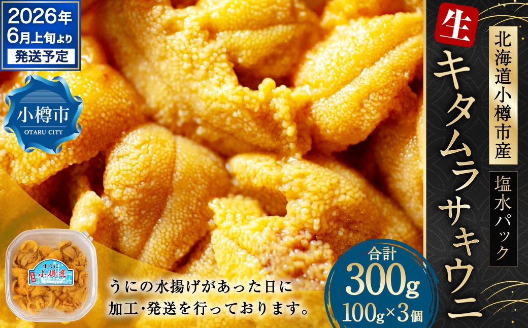 生うに 300g