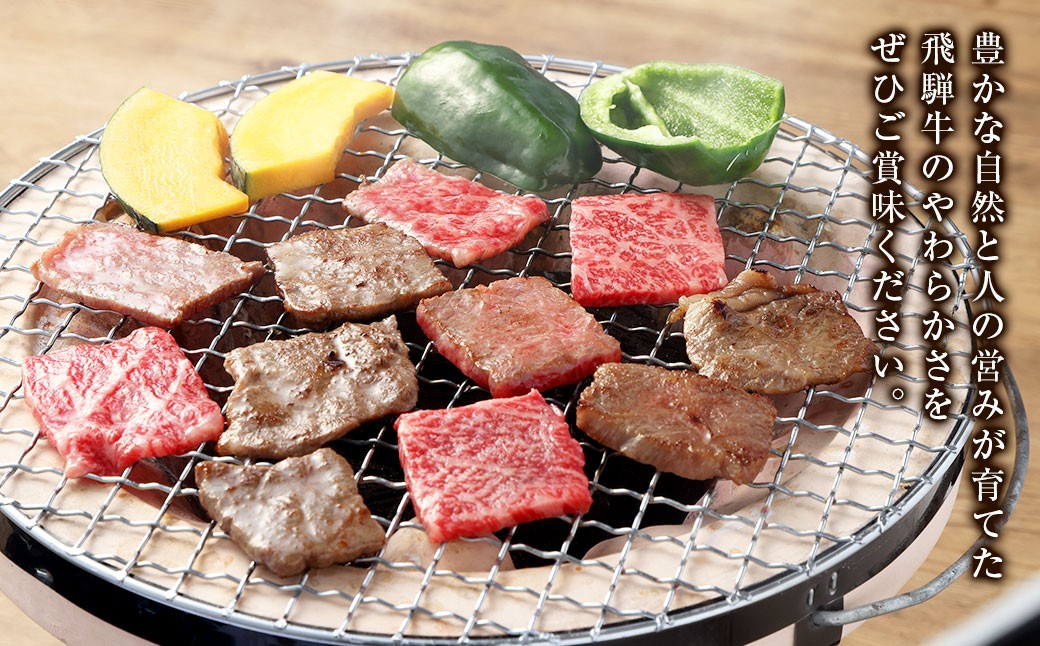 飛騨牛 A5 等級 焼肉 用 400g（ モモ肉 ）