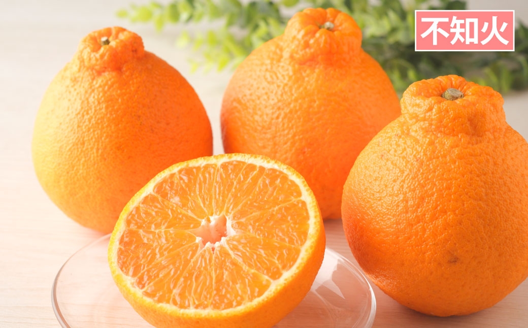 長崎 旬のフルーツ 定期便 ライト シャインマスカット・ハウス桃・びわ・柑橘