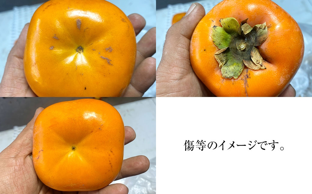 福岡県ブランド柿 秋王 5－7玉 約1.8kg 種無し