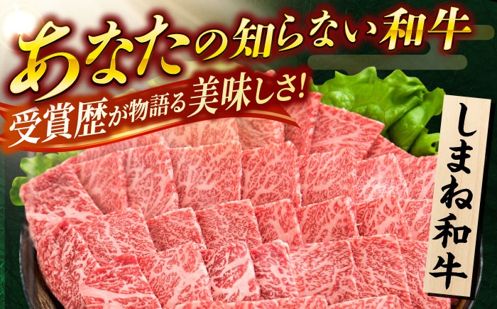 肉 お肉 おすすめ カルビ モモ ロース 国産牛 牛肉 お歳暮 お中元 大容量 詰め合わせ よりどり