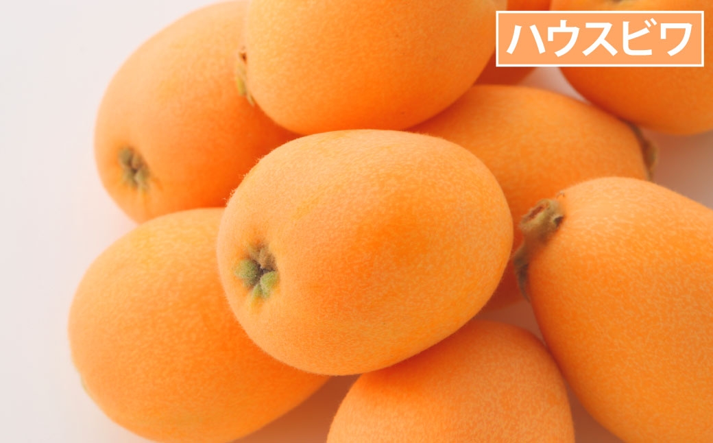 長崎 旬のフルーツ 定期便 ライト シャインマスカット・ハウス桃・びわ・柑橘