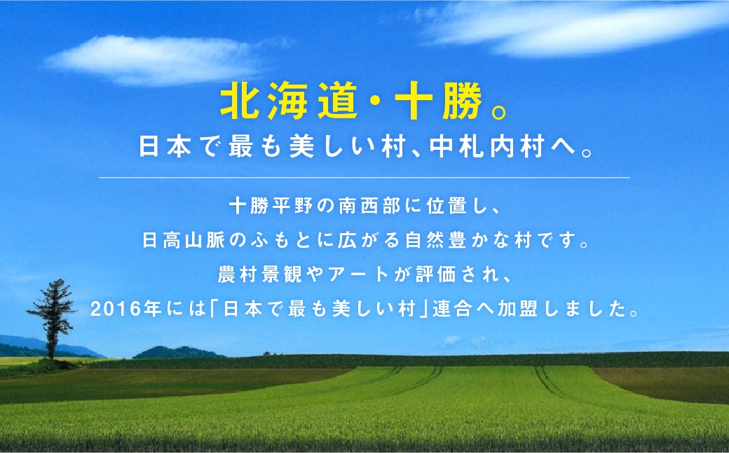 よつ葉北海道十勝 カマンベールチーズ 90g×2個 セット
