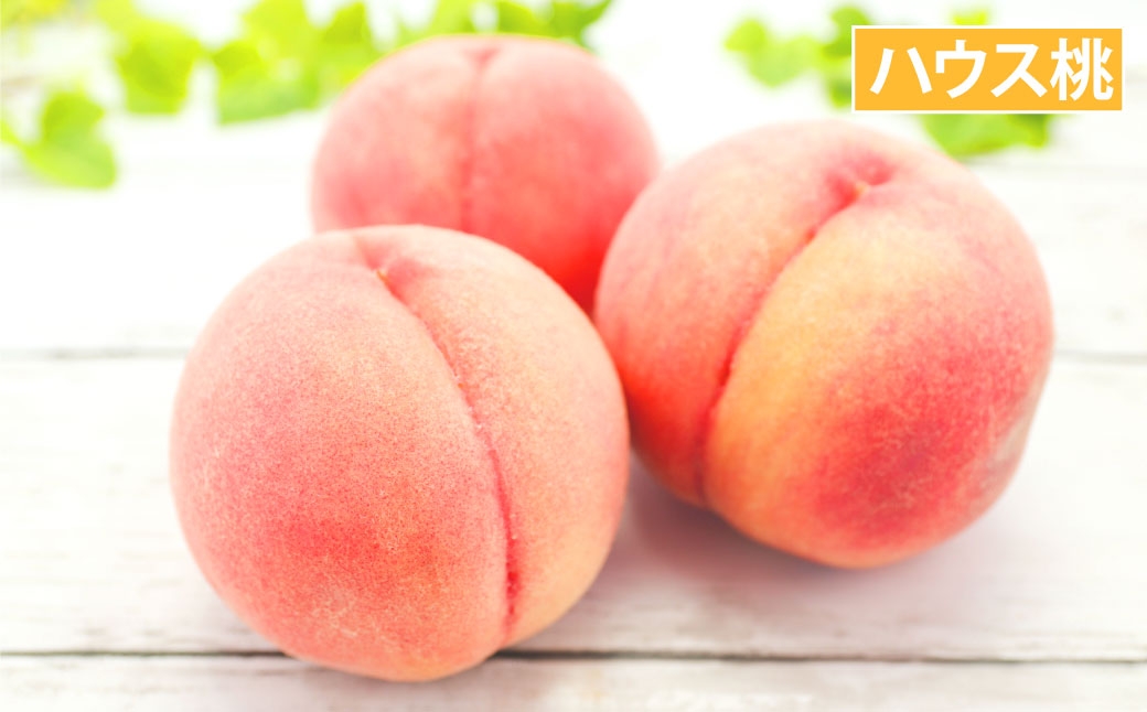 長崎 旬のフルーツ 定期便 ライト シャインマスカット・ハウス桃・びわ・柑橘