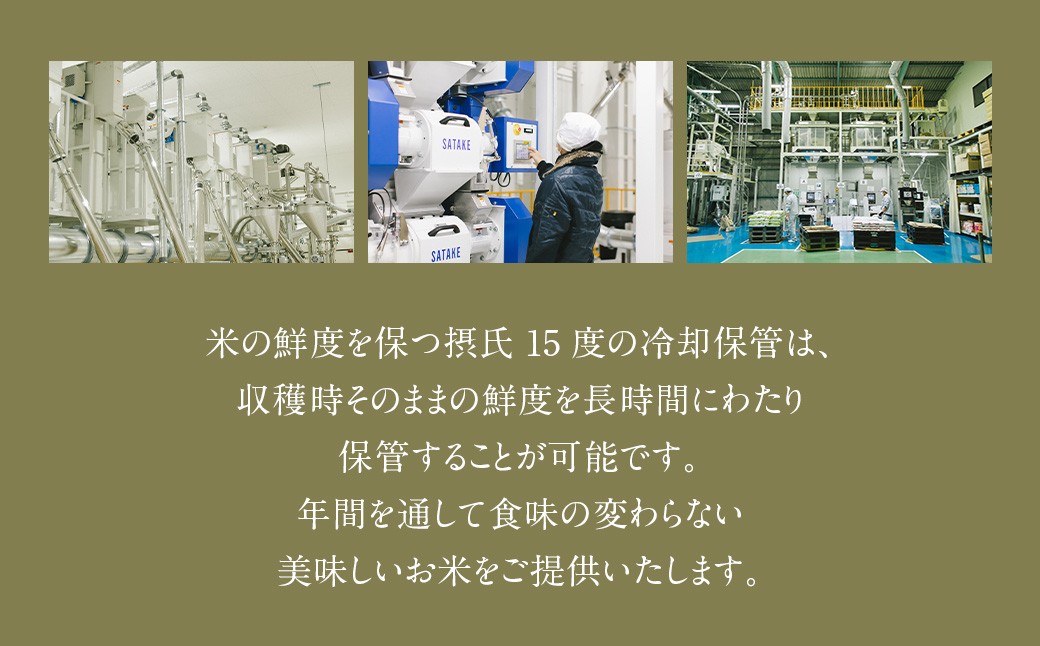 【3回定期便】 鹿児島県産 銘柄米 ブレンド 薩摩うんまか米 （5kg×3回）