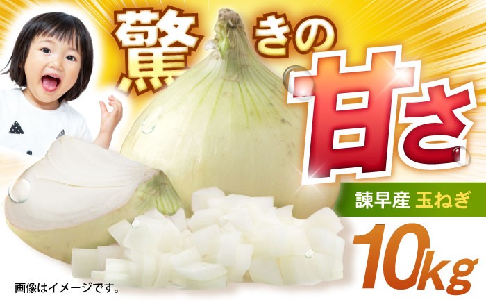 玉ねぎ 玉葱 たまねぎ タマネギ 野菜 やさい 10kg 甘い