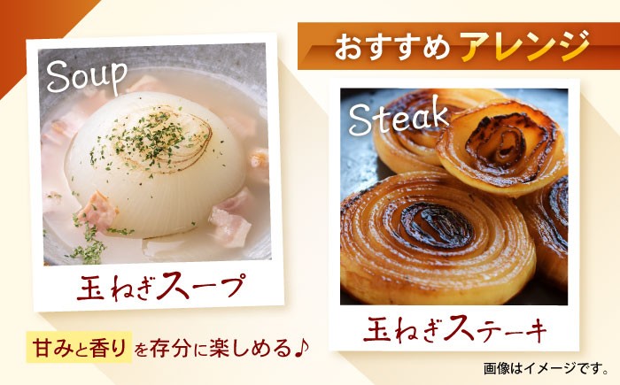 玉ねぎ 玉葱 たまねぎ タマネギ 野菜 やさい 10kg 甘い