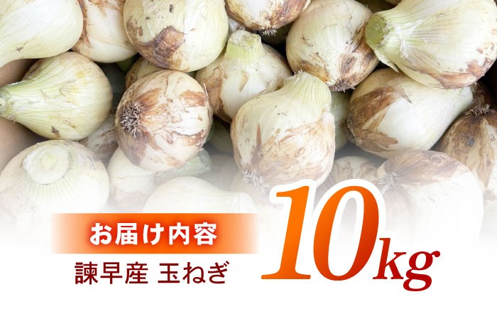 玉ねぎ 玉葱 たまねぎ タマネギ 野菜 やさい 10kg 甘い