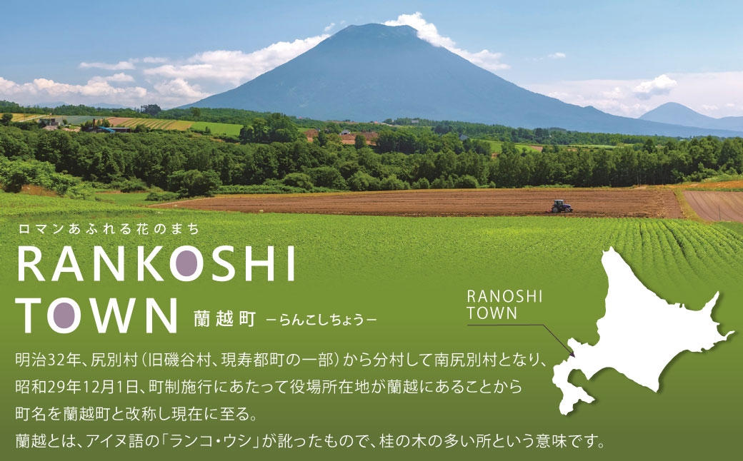 木りつ！ (CD & ブックスタンド)