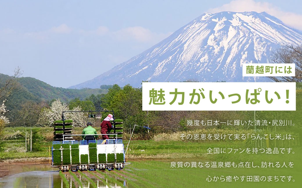 【1ヶ月毎 2回定期】シラカシャンプー、コンディショナーセット 1セット（合計2セット）