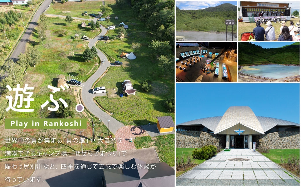 【1ヶ月毎11回定期】SIRACA White Cream（クリーム） 1本（30g）×11回