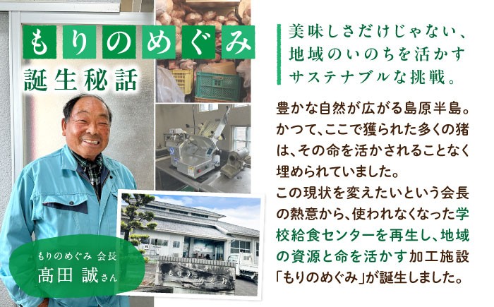 ひき肉 肉 イノシシ ジビエ いのしし ハンバーグ 低カロリー 冷凍