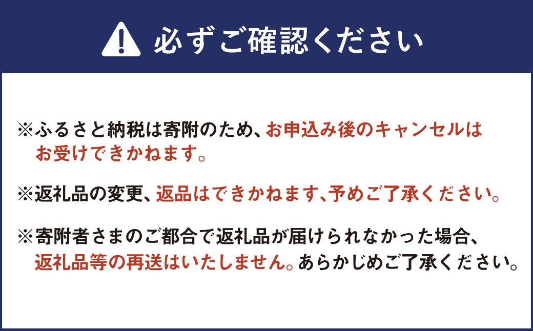 【1ヶ月毎 12回定期】シラカシャンプー、コンディショナーセット 1セット（合計12セット）