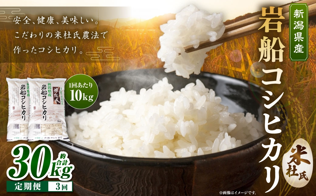 令和7年産新潟県岩船産米杜氏コシヒカリ10kg