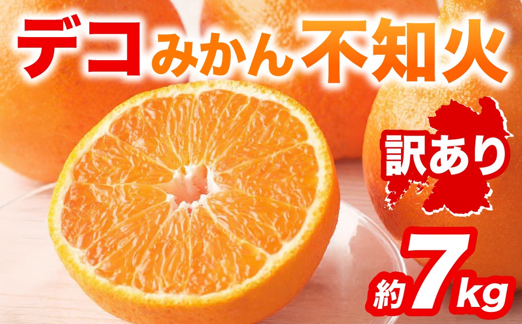 訳あり 不知火 デコみかん 約7kg