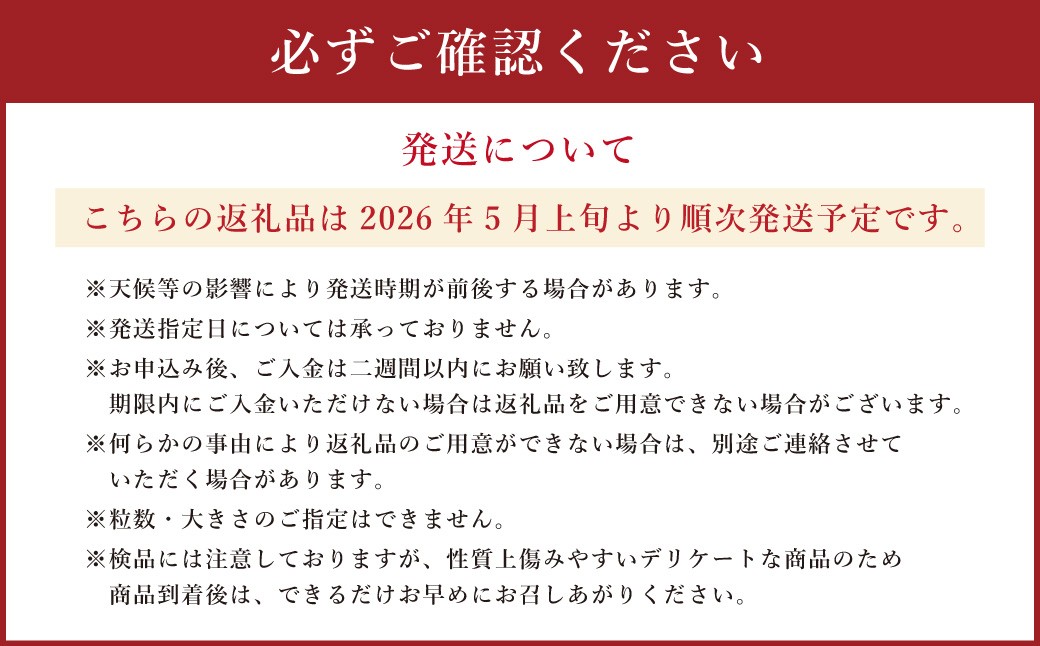 スイカ祭りばやし 1玉(8kg以上)