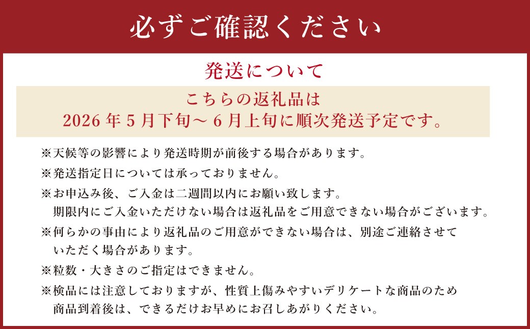 黒小玉BonBonリッチ