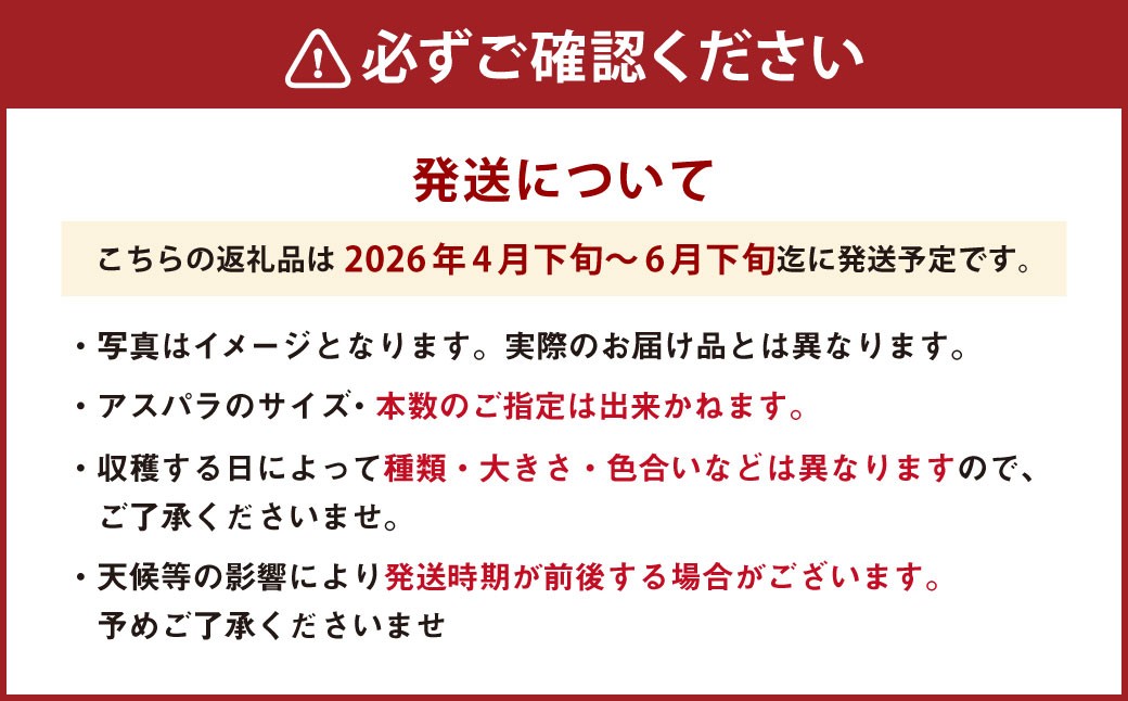アスパラ 約800g M～2L