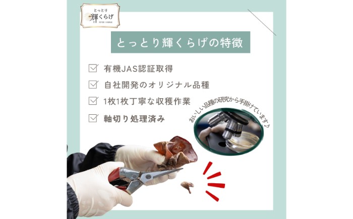 鳥取県産有機生あらげきくらげ（6パック入）レシピ付_T2600417