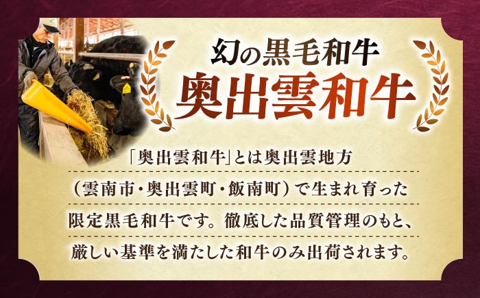 牛肉 和牛 ステーキ 牛 黒毛和牛 奥出雲和牛 サーロイン  島根県 雲南市