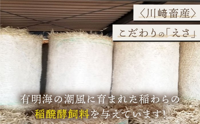 家庭の食卓にうれしい人気返礼品詰め合わせ