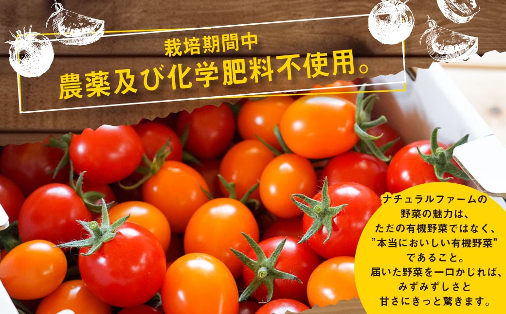 有機JAS認定「きたいろトマト」1.2kg×3箱 （3.6kg）