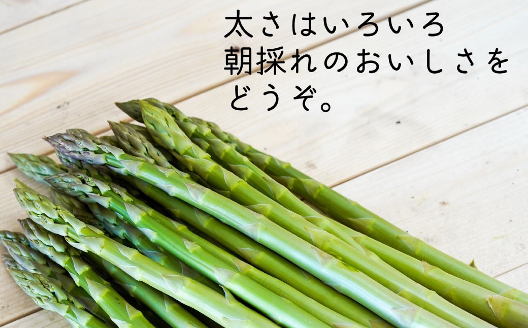 アスパラ 約2.4kg M-2L