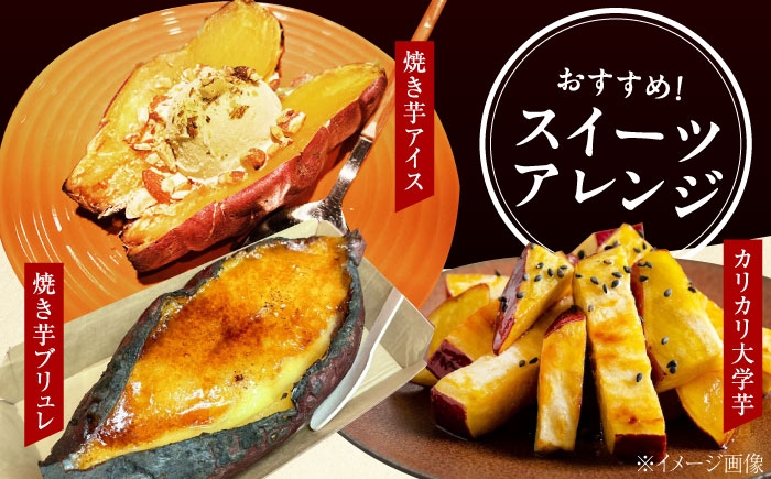 さつまいも 焼き芋 紅はるか 焼芋 やきいも ヤキイモ サツマイモ ベニハルカ