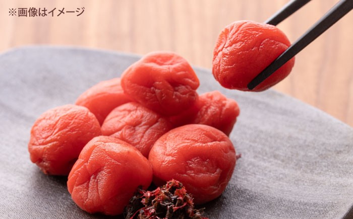 小梅 青梅 生梅 梅干し 梅干 梅酒 梅ジュース 梅シロップ 4kg 先行予約