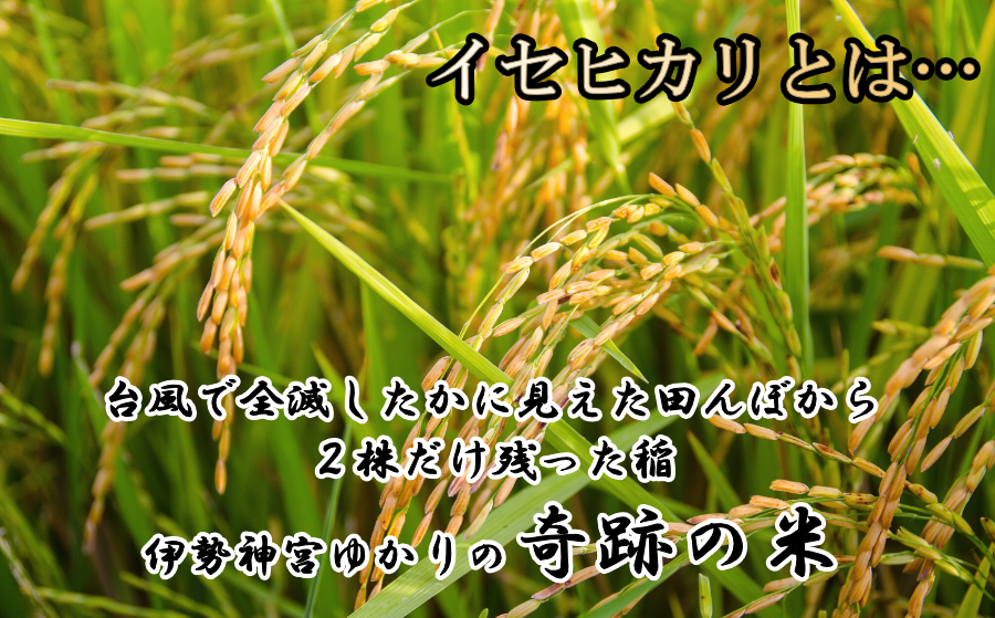 伊勢神宮ゆかりの奇跡の米『イセヒカリ』使用