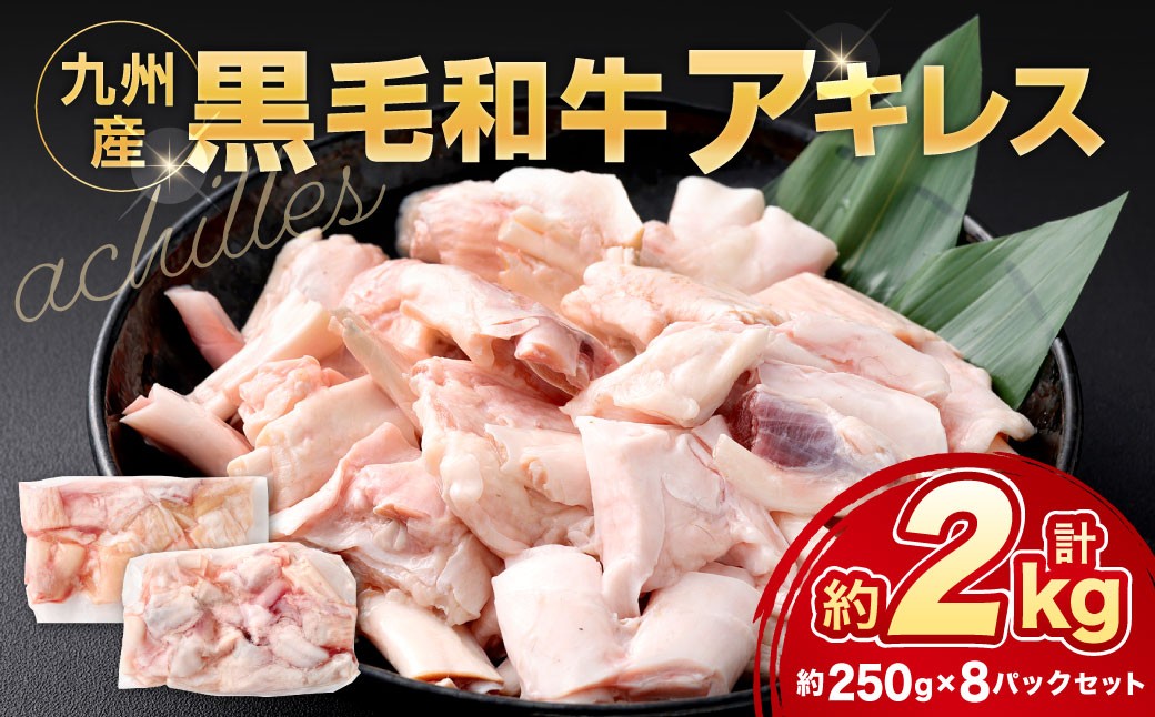 九州産 黒毛和牛 アキレス 約2.0kg（250g×8パック）