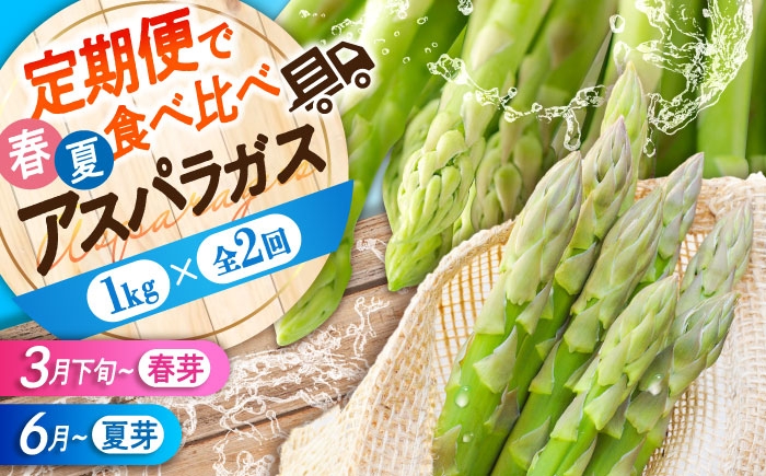 食べ比べ アスパラ 旬 野菜 グリーンアスパラ とれたて アスパラガス 朝採り 直送便 定期便 春野菜 夏野菜