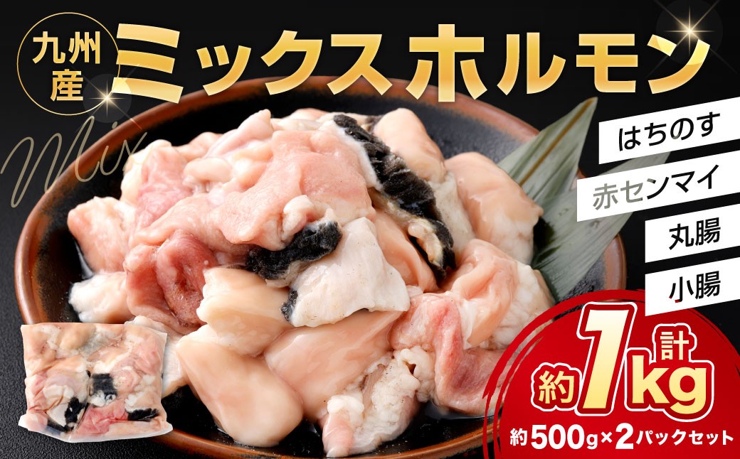 ミックスホルモン 約1.0kg（約500g×2パック）