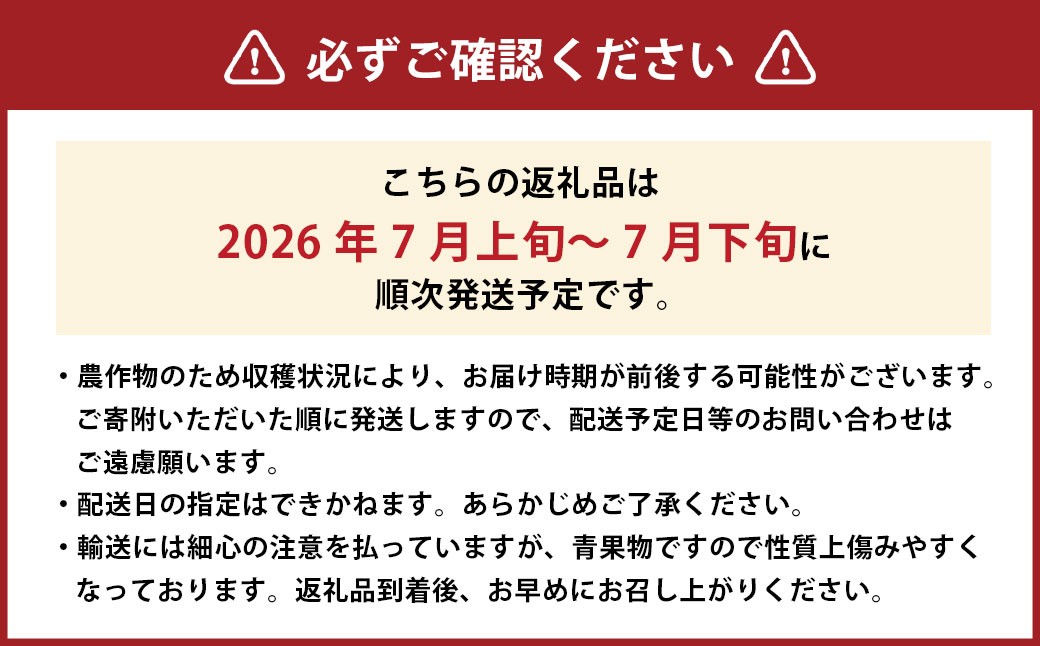 清水白桃 エース 3玉 約750g 