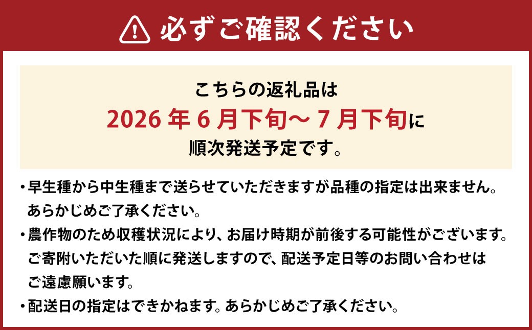 ご家庭用 岡山白桃 4~5玉 計約1.2kg 