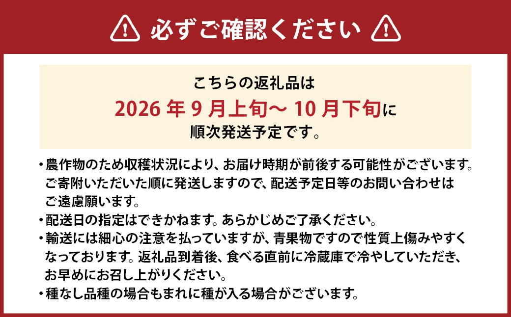 クイーンニーナ 2～3房 計約1.1kg