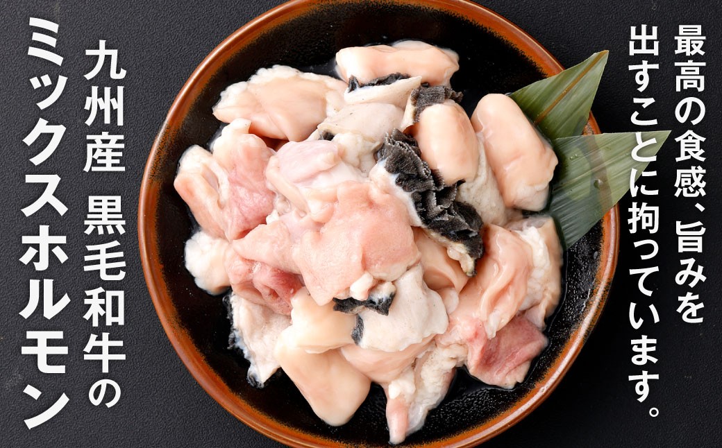 ミックスホルモン 約500g（約500g×1パック）