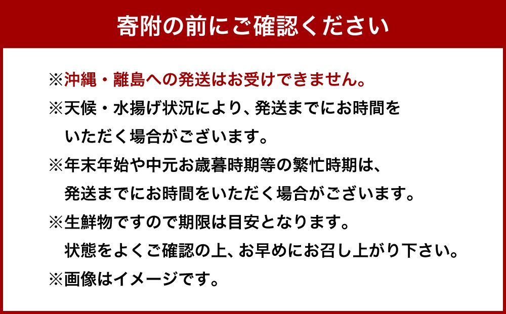 北海道小樽市 塩水キタムラサキウニ 100g×4パック 合計400g 【漁師直送】