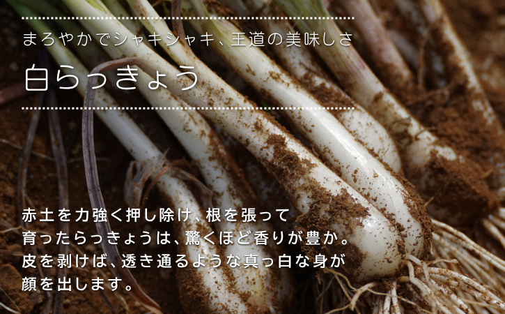 こだわりのオーガニック栽培！とことん真面目に育てています！