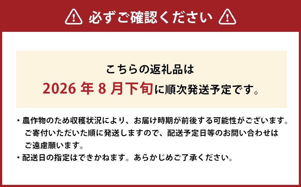 ご家庭用 岡山白桃 晩生 4～5玉 計約1.2kg 