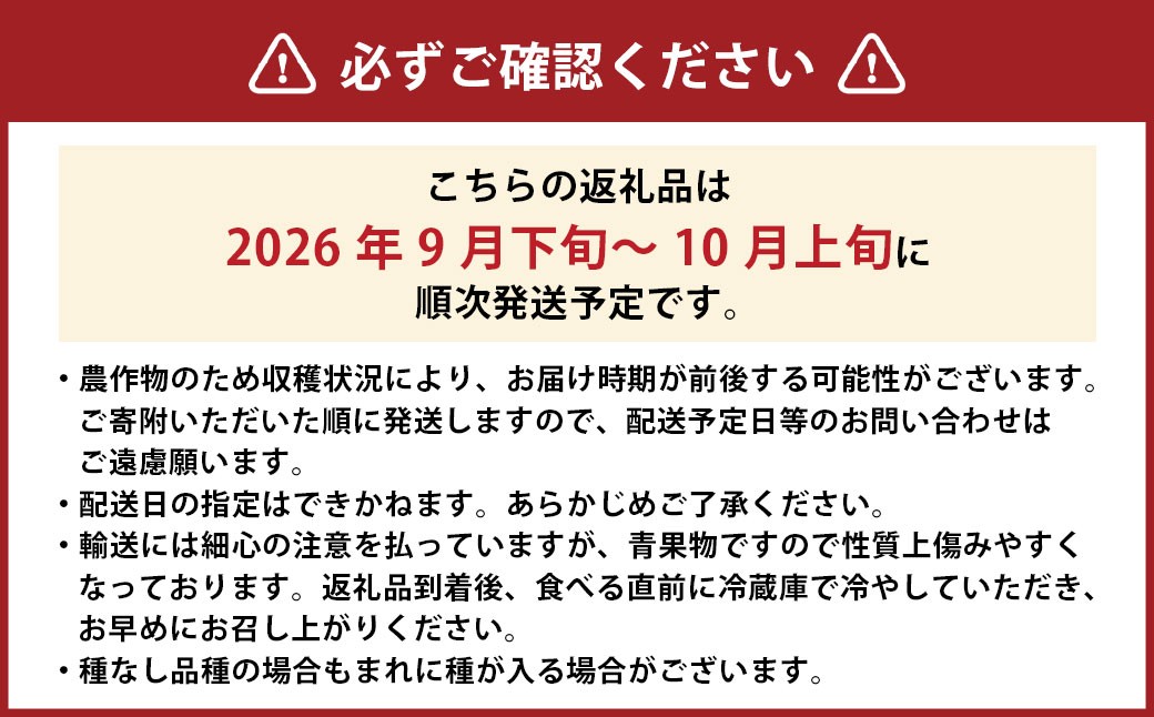 シャインマスカット 1房 約700g