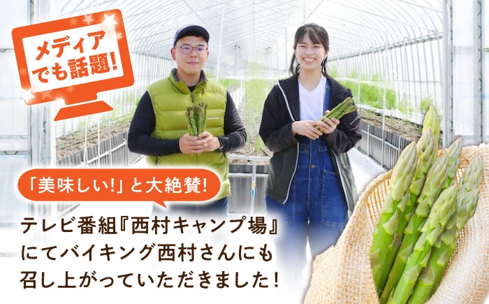 食べ比べ アスパラ 旬 野菜 グリーンアスパラ とれたて アスパラガス 朝採り 直送便 定期便 春野菜 夏野菜