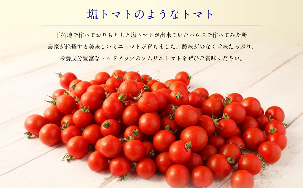 ソムリエミニトマトダイヤ800g