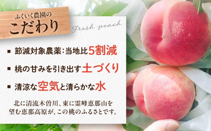 モモ 飲料 飲み物 ももドリンク 桃ジュース ももジュース フルーツジュース 贈答 ギフト おすすめ 人気 岐阜県 恵那市