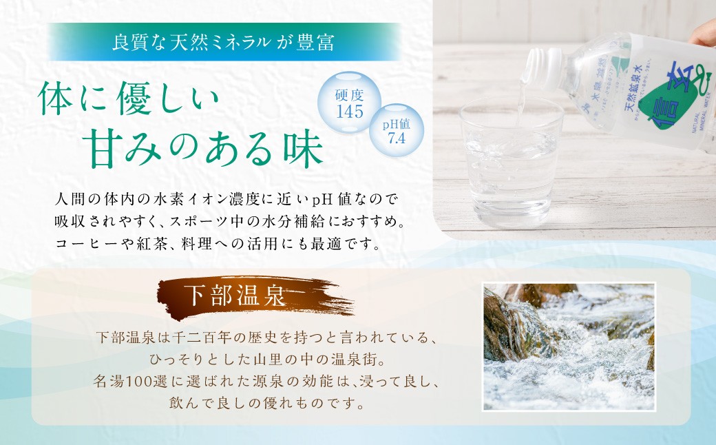 【12ヶ月定期便】天然鉱泉水「信玄」ナチュラルミネラルウォーター