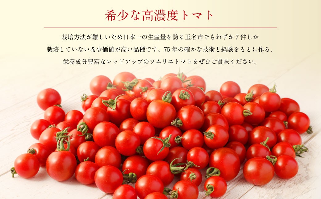 ソムリエミニトマトプラチナ800g