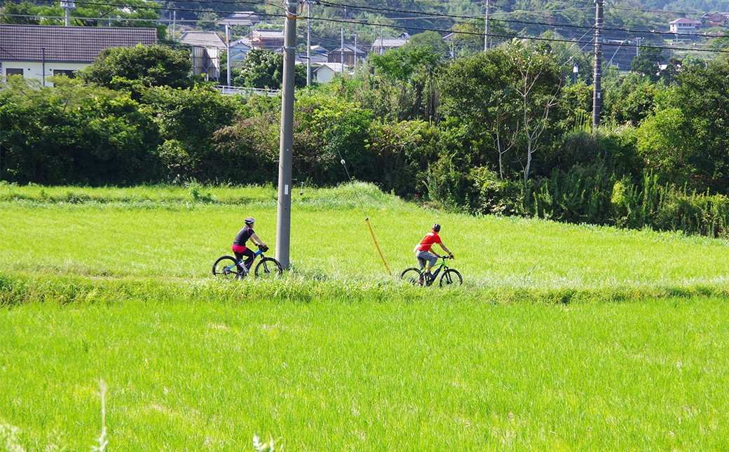 緑の小径を進むたび、やわらかな風が頬をかすめていきます。