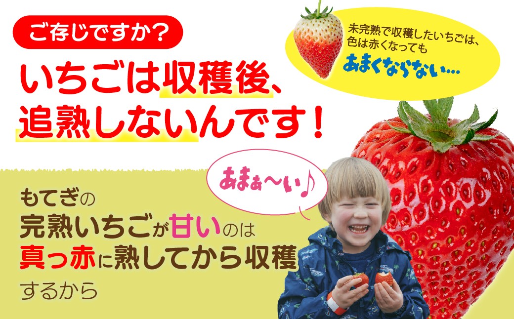 いちご イチゴ 苺 とちあいか 完熟 ジャム スムージー スイーツ デザート アイス シャーベット