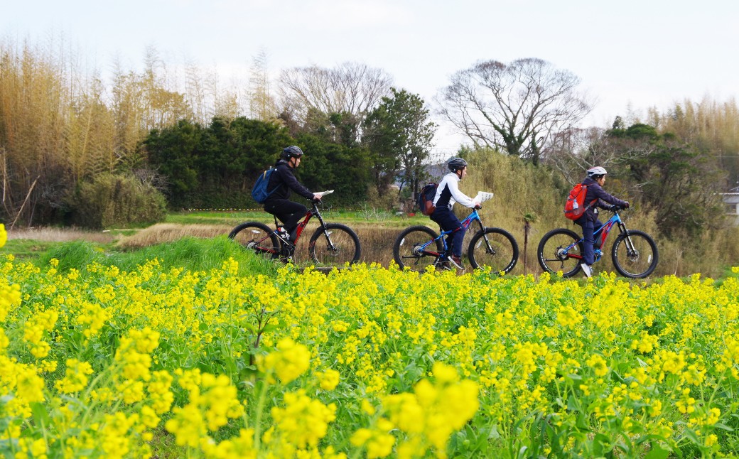 黄色の花が揺れる道を抜け、季節の匂いとともにペダルも軽やかに。