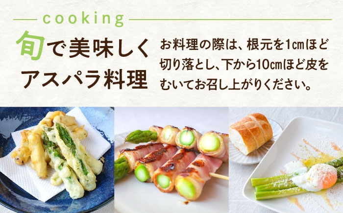 食べ比べ アスパラ 旬 野菜 グリーンアスパラ とれたて アスパラガス 朝採り 直送便 定期便 春野菜 夏野菜